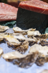 Ball-der-Wirtschaft-2025-foto-ronny-goetter-_RG70966